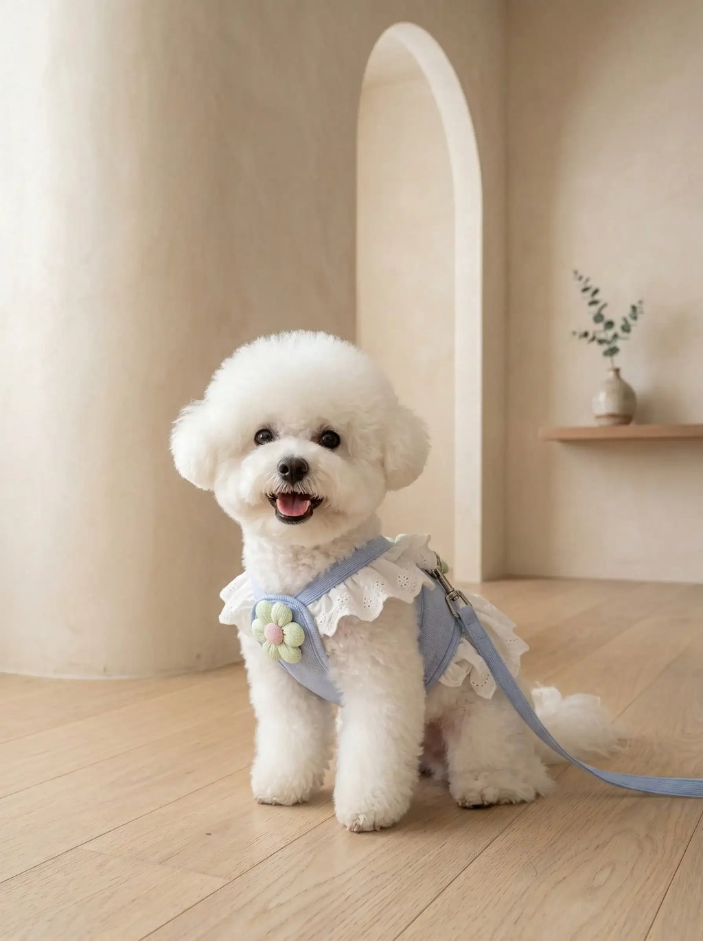 Floral Lace Pet Harness Dress with Matching Leash, Ruffle Princess Style, Breathable Fabric. Cute decorative outfit for small dogs and cats, comfortable walking harness for outdoor strolls, photo shooting and daily wearing