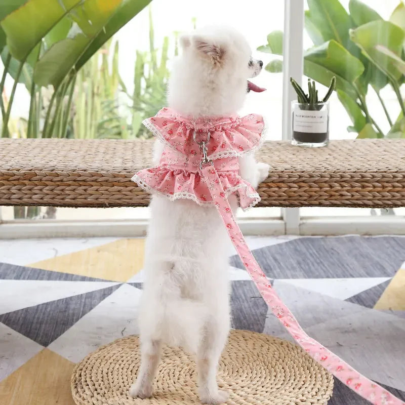 Small Dog Clothes Pet Cat Harness With Leash Lace Teddy Bichon Spring Summer Autumn Dog Leash Cat Supplies