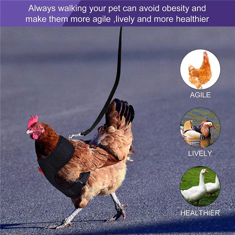 1 Pcs Fashion Chicken Duck Vest Hen Belt Pet Harness Matching Collars Bow Comfortable Leads Breathable Poultry Supply Wholesale