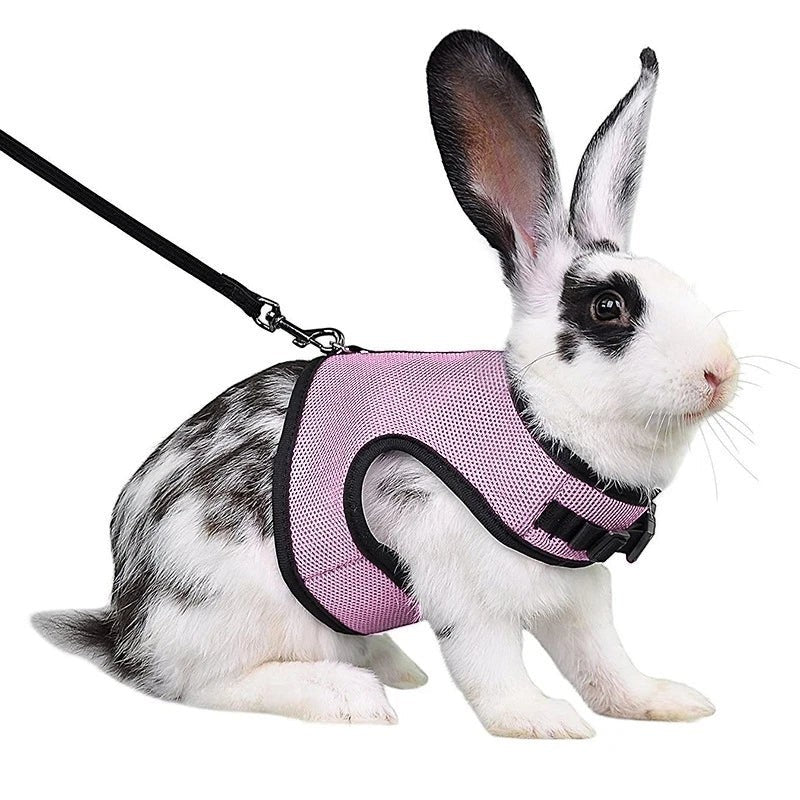 Mincy Pets Breathable Vest Harness & Leash Set for Rabbits product photo.