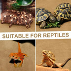 4 Pcs Reptile Carpet Pet Terrarium Floor Liners Bedding Substrate Liner Supplies Reptile Cage Mat Tank Accessories for Lizard B