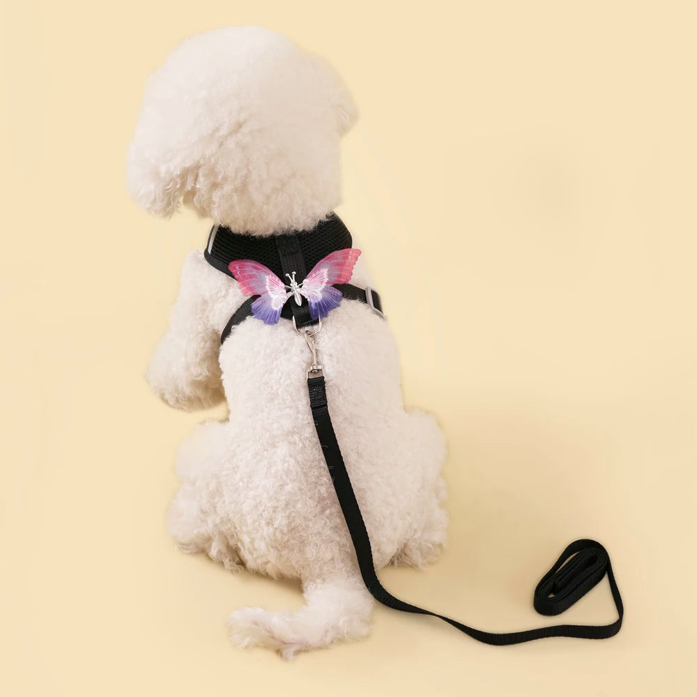 New Breathable Cute Cat Harness Set Butterfly Small Dog Harness Set Walk Outdoors Puppy Chest Vest Leash Accessories