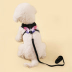 New Breathable Cute Cat Harness Set Butterfly Small Dog Harness Set Walk Outdoors Puppy Chest Vest Leash Accessories