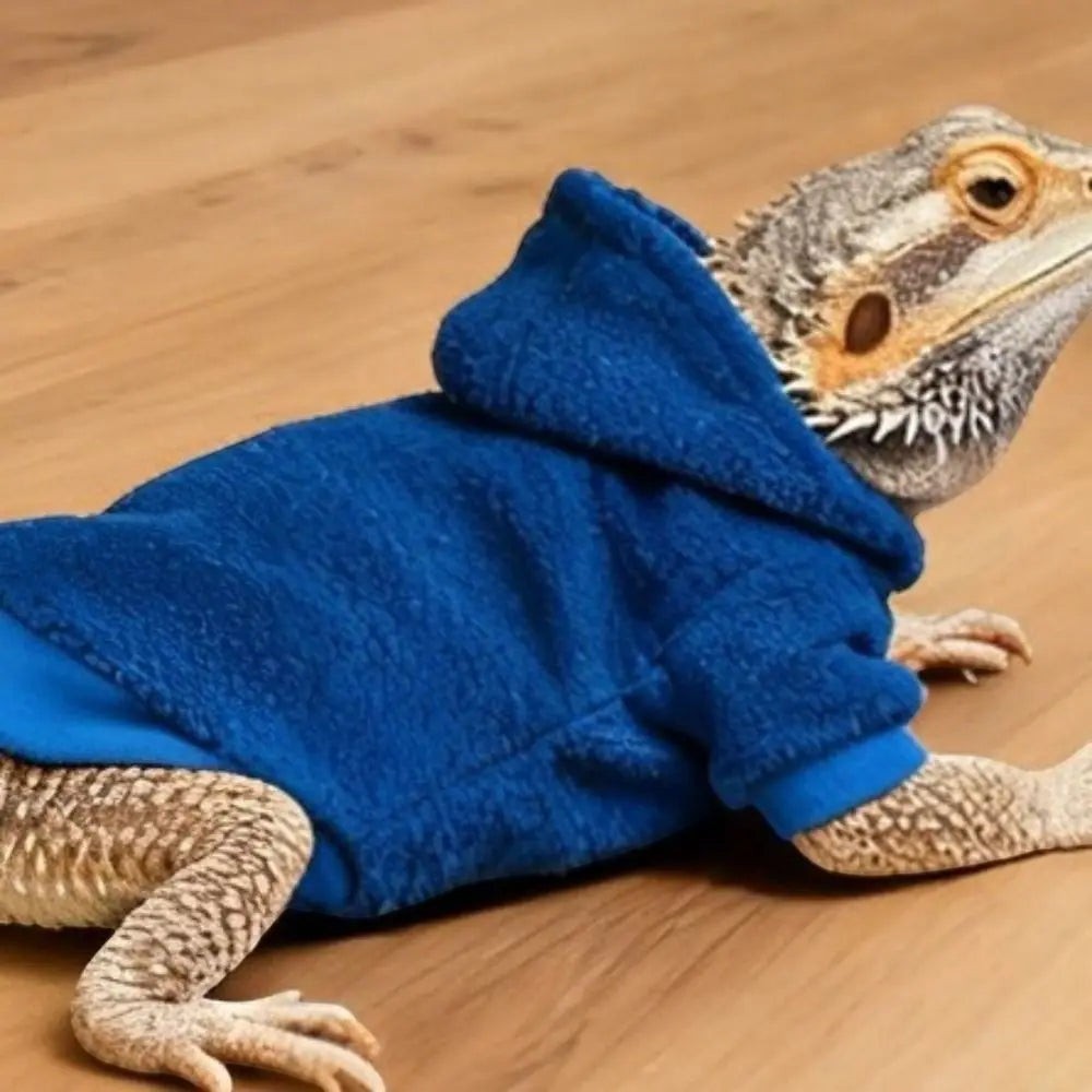 Ferret Hoodie Warm Lizards Clothes Solid Color Windproof Lizard Harness Vest Soft Bearded Dragon Hoodie Pet Show