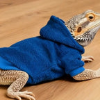 Ferret Hoodie Warm Lizards Clothes Solid Color Windproof Lizard Harness Vest Soft Bearded Dragon Hoodie Pet Show