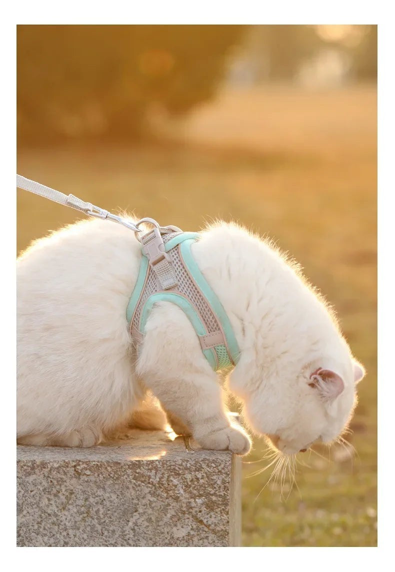 Breathable Vest Harness Adjustable Lightweight Small Dog Cat Safe Polyester Outdoor Daily Walking