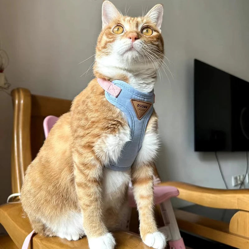 Cozy Soft Cat Harness and Leash for Walking Adjustable Pet Harnesses for Cats Gotas Katten Kleding Kitten Mascotas Accessories