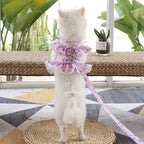 Small Dog Clothes Pet Cat Harness With Leash Lace Teddy Bichon Spring Summer Autumn Dog Leash Cat Supplies