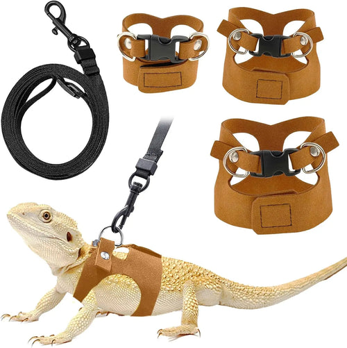 Bearded Dragon Adventure Set