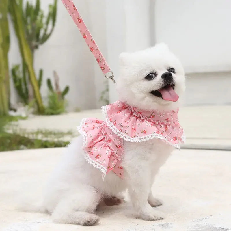 Small Dog Clothes Pet Cat Harness With Leash Lace Teddy Bichon Spring Summer Autumn Dog Leash Cat Supplies