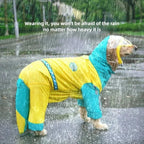 Dino Raincoat