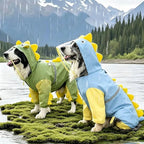 Dino Raincoat