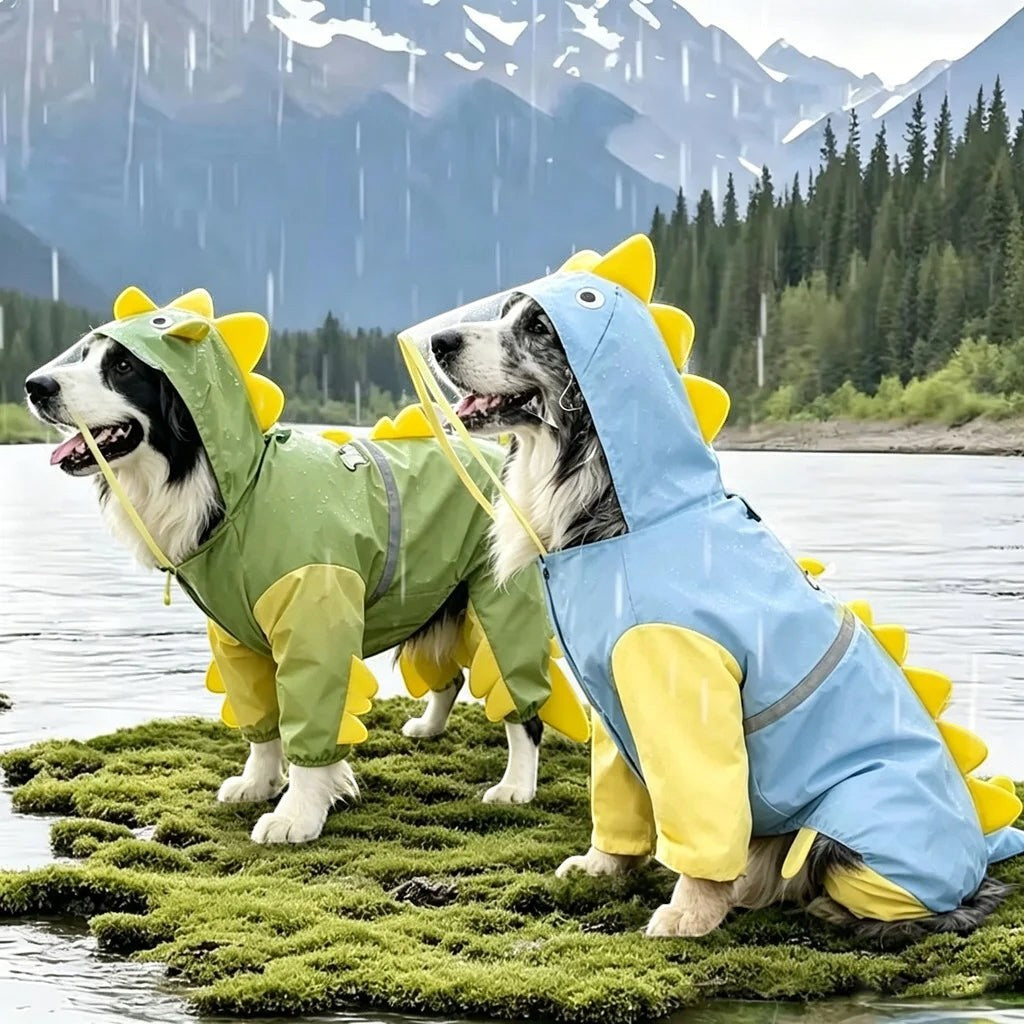Dino Raincoat
