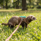 Adjustable Ferret Vest Harness Dinosaur Shape Escape-Proof Pet Traction Rope Comfortable with Bell Guinea Pig Safety Vest