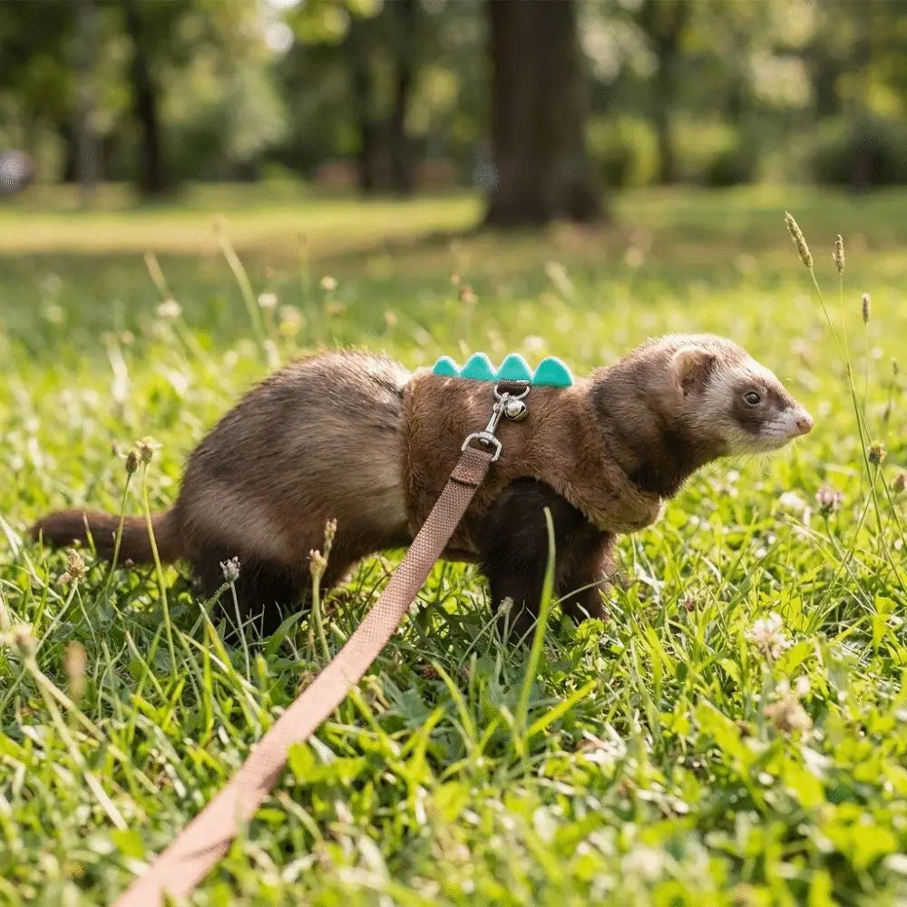 Adjustable Ferret Vest Harness Dinosaur Shape Escape-Proof Pet Traction Rope Comfortable with Bell Guinea Pig Safety Vest