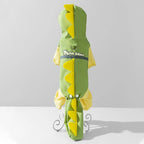 Dino Raincoat