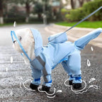 Dino Raincoat