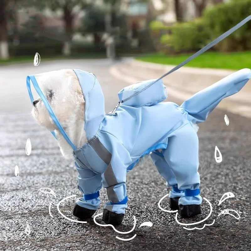 Dino Raincoat