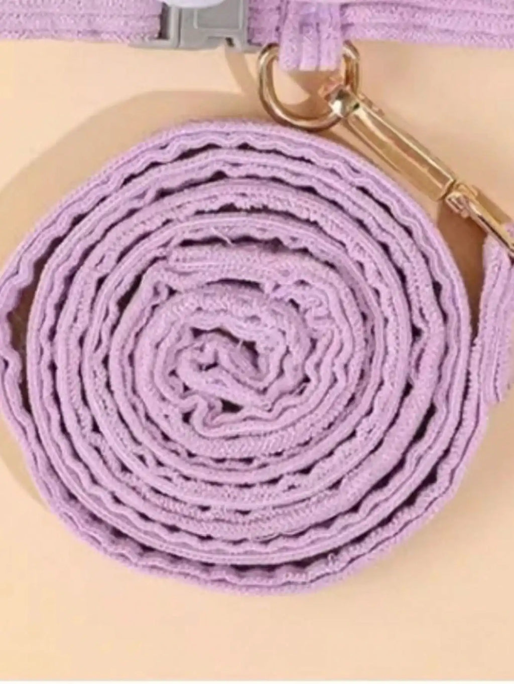 Cat Traction Rope, Escape Proof Cat Leash, Cat Walking Harness Vest With Lead Leash Set, Kitten Puppy Soft Mesh Harness, Pet Supplies For Small Dogs