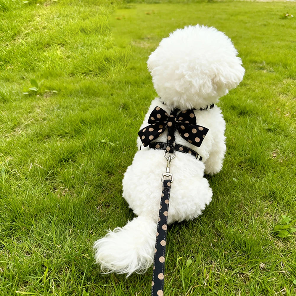Stylish Polka Dot Pet Bow Harness & Leash Set Cute Puppy Kitten Small Dog Cat Vest Secure Adjustable Walking Cute Bow Collar