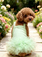 Ballet Tulle Dress