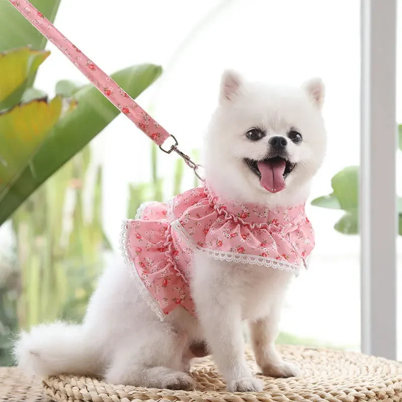 Small Dog Clothes Pet Cat Harness With Leash Lace Teddy Bichon Spring Summer Autumn Dog Leash Cat Supplies