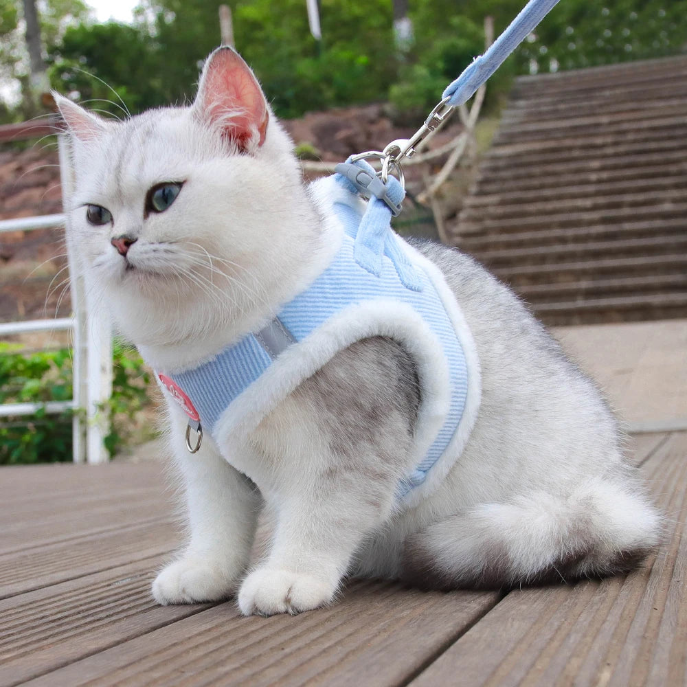 Autumn and Winter Warm Chihuahua Dog Harness with Fur, Pet Harness and Leash Set for Walking Dogs, Puppy Yorkies Mascotas Accessories rabbit rabbit clothes guinea pig accessories