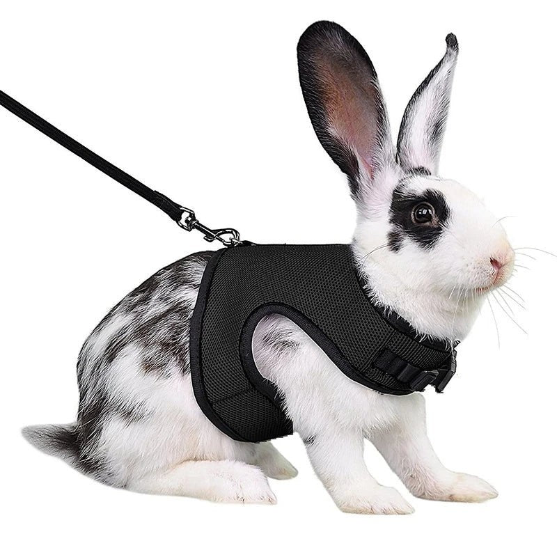 Mincy Pets Breathable Vest Harness & Leash Set for Rabbits product photo.