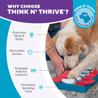 Dog Brick Interactive Treat Puzzle Toy for Mental Stimulation and Skill Development