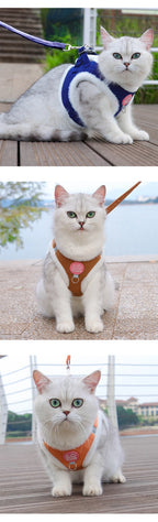 Autumn and Winter Warm Chihuahua Dog Harness with Fur, Pet Harness and Leash Set for Walking Dogs, Puppy Yorkies Mascotas Accessories rabbit rabbit clothes guinea pig accessories