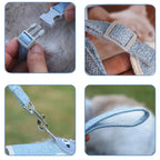 Undershirt Style Pet Leash Adjustable Cat Dog Harness Breathable Leash Convenient Pet Vest For Small Dog Cat Supplies