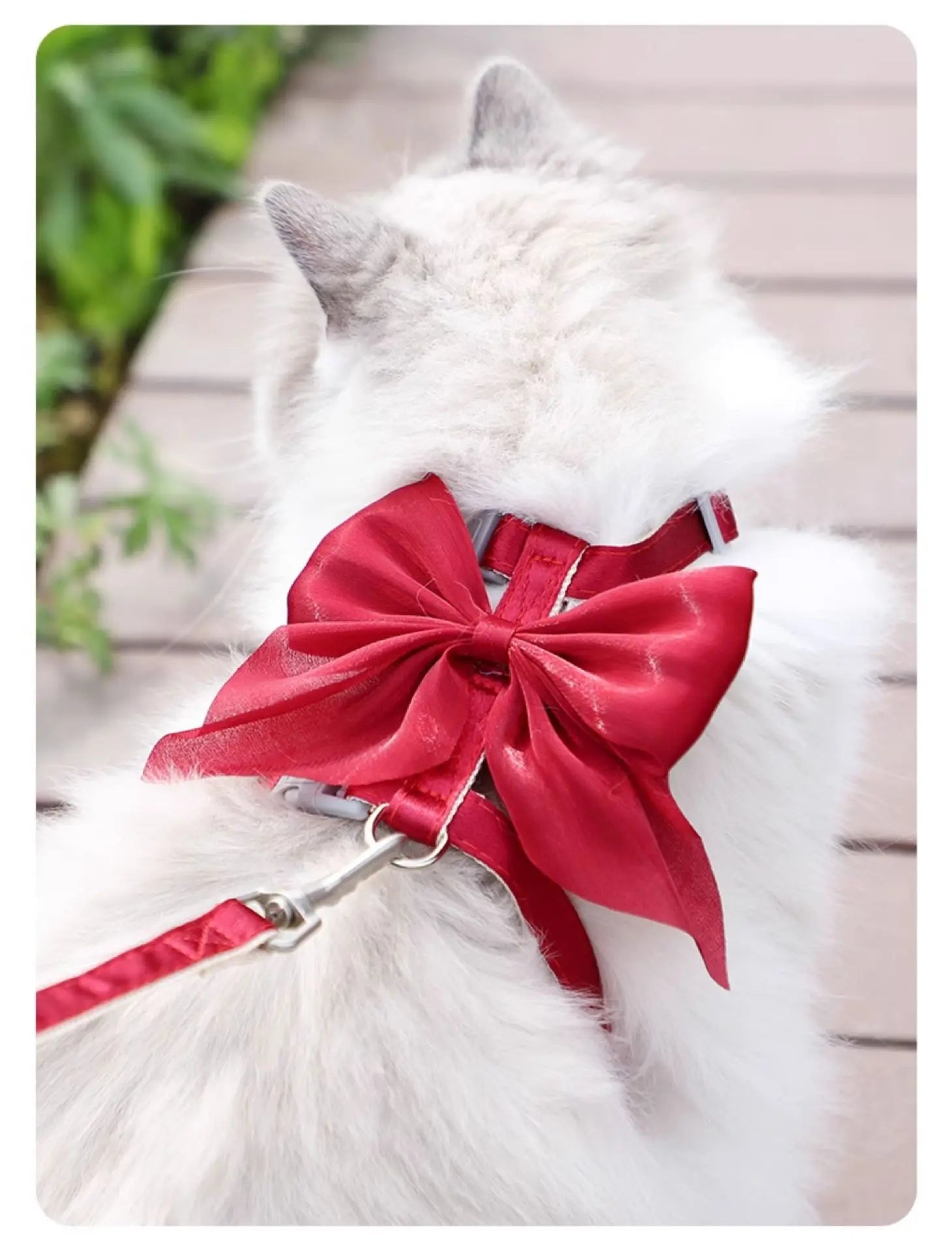 Cat Harness and Leash Set with Big Bow, Escape Proof  Kitten Lead, Adjustable H-Type Vest for Walking, Cute Shiny Accessories