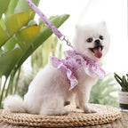 Mincy Pets Lace Harness with Leash for Small Dogs & Cats product photo.