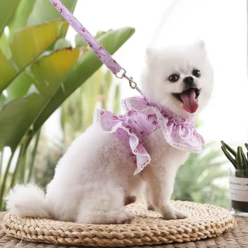 Mincy Pets Lace Harness with Leash for Small Dogs & Cats product photo.