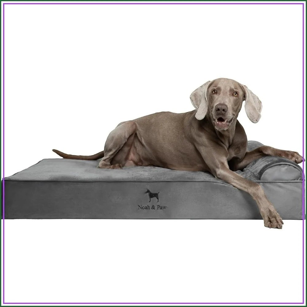 XL Orthopedic Dog Bed with Cooling Gel