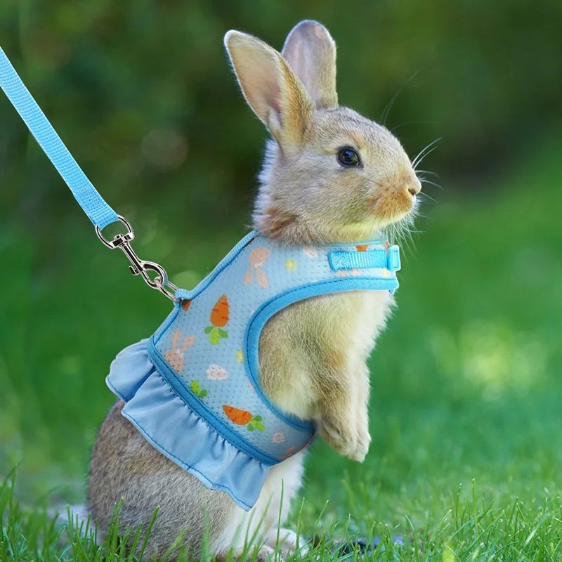 Mincy Pets Breathable Mesh Rabbit Harness & Leash Set product photo.