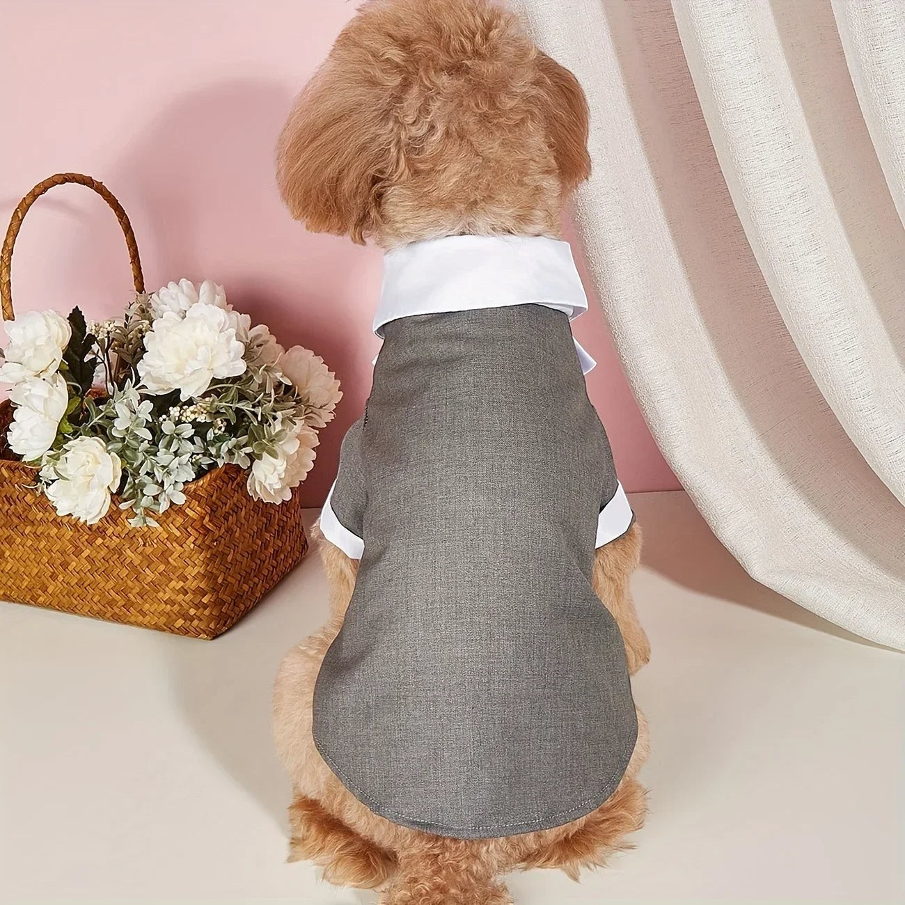 Black Tie Suit