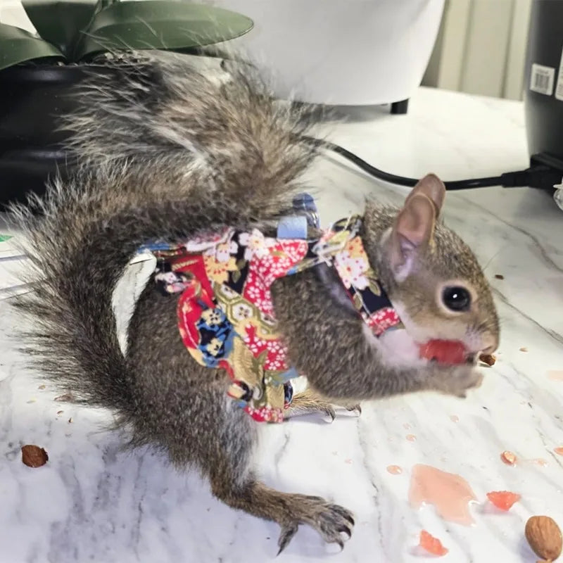 Pet Ferret Harness Dress with Split Tank Top Squirrel Leash and Anti-bite Chest and Back Strap Flower Branch Black-tailed Marmot