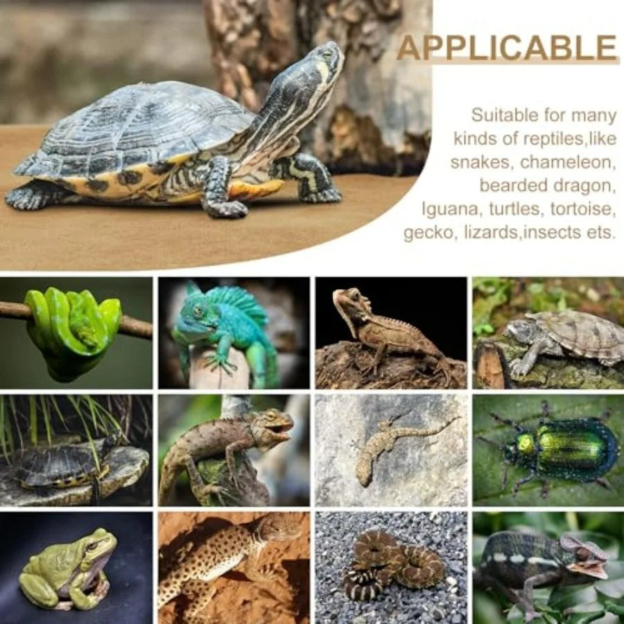 4 Pcs Reptile Carpet Pet Terrarium Floor Liners Bedding Substrate Liner Supplies Reptile Cage Mat Tank Accessories for Lizard B