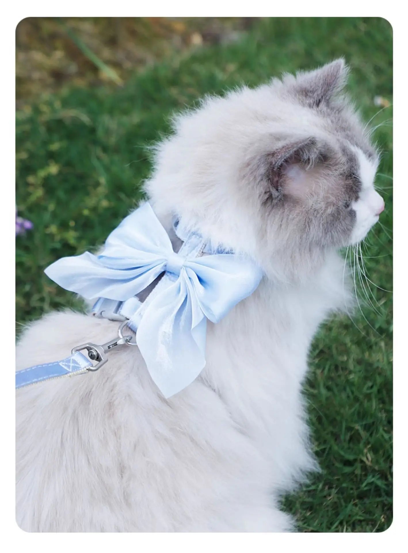 Cat Harness and Leash Set with Big Bow, Escape Proof  Kitten Lead, Adjustable H-Type Vest for Walking, Cute Shiny Accessories