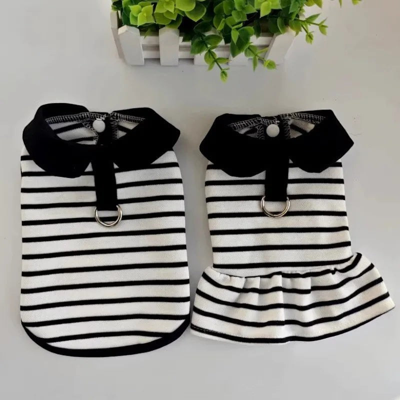 Everyday Stripe Tee