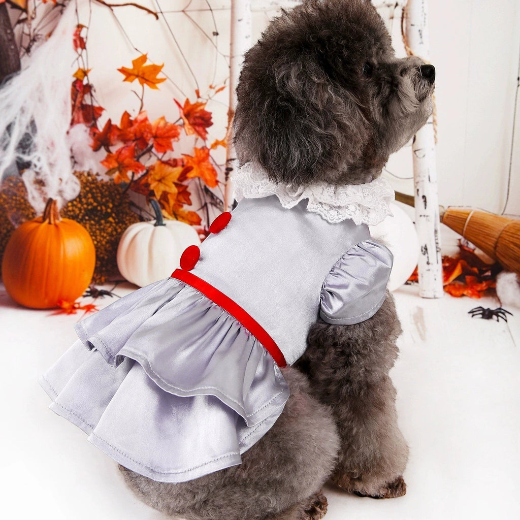 Storybook Wizard Costume