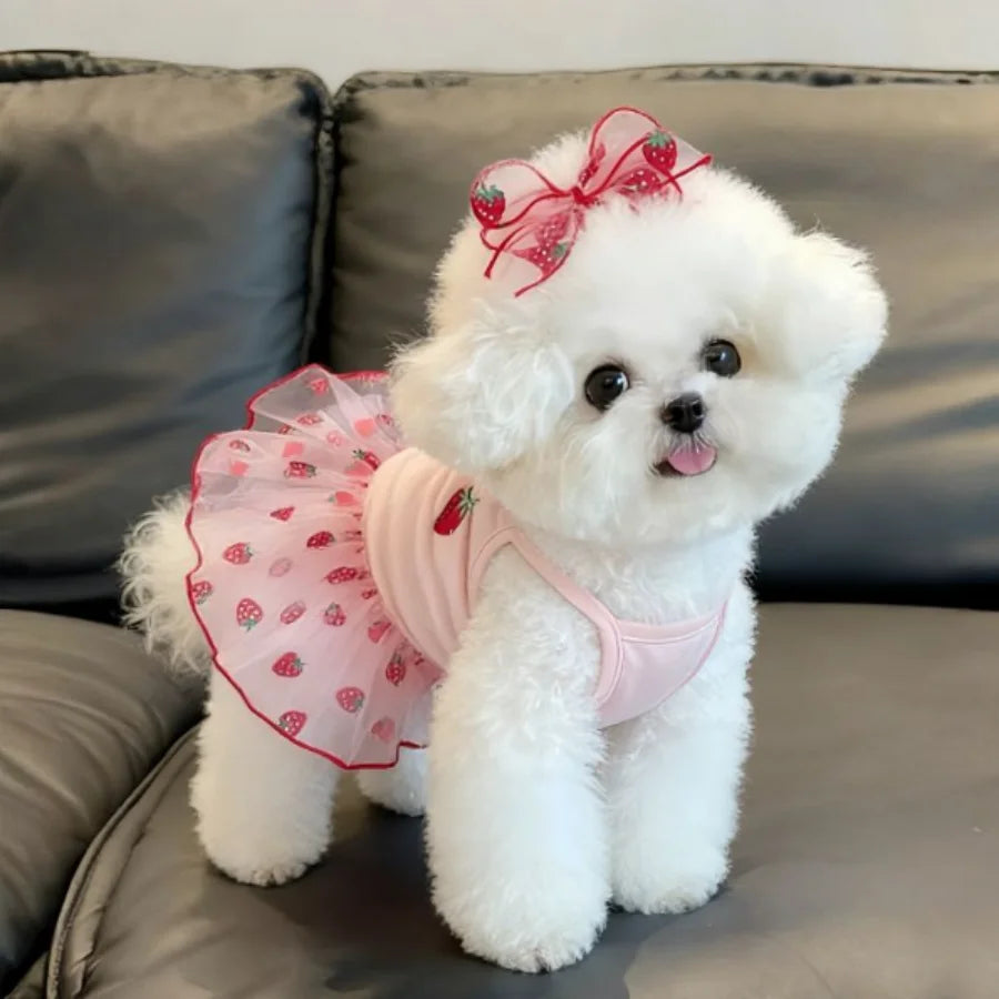 Petite Ruffle Skirt