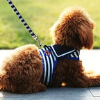 Soft and Breathable Nautical-style Dog Outfit & Leash Set, Suitable for Small and Medium Dogs, Puppy Collars, Harness and Leash for Dogs and Cats