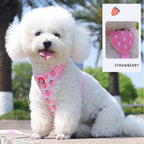 Cute Fruit Dog Cat Harness & Leash Set  Adjustable Soft Puppy Kitten Walking Gear Breathable Summer Outdoor Accessories for Smal