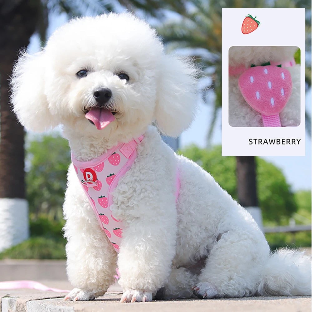 Cute Fruit Dog Cat Harness & Leash Set  Adjustable Soft Puppy Kitten Walking Gear Breathable Summer Outdoor Accessories for Smal