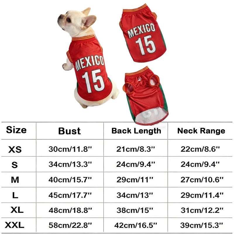 Sport Mesh Jersey