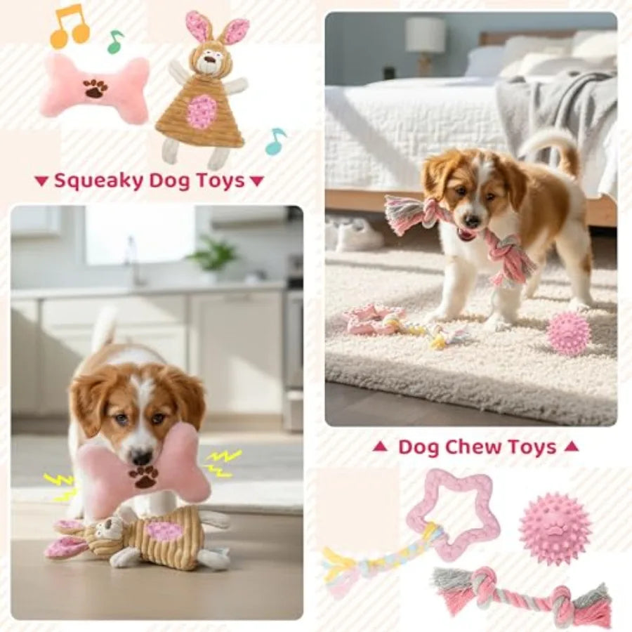 Puppy Supplies Starter Kit - Puppy Essentials Includes Dog Squeaky Toys Collar Leash Treat Bag Poop Waste Bag Blanket Bowls Wat