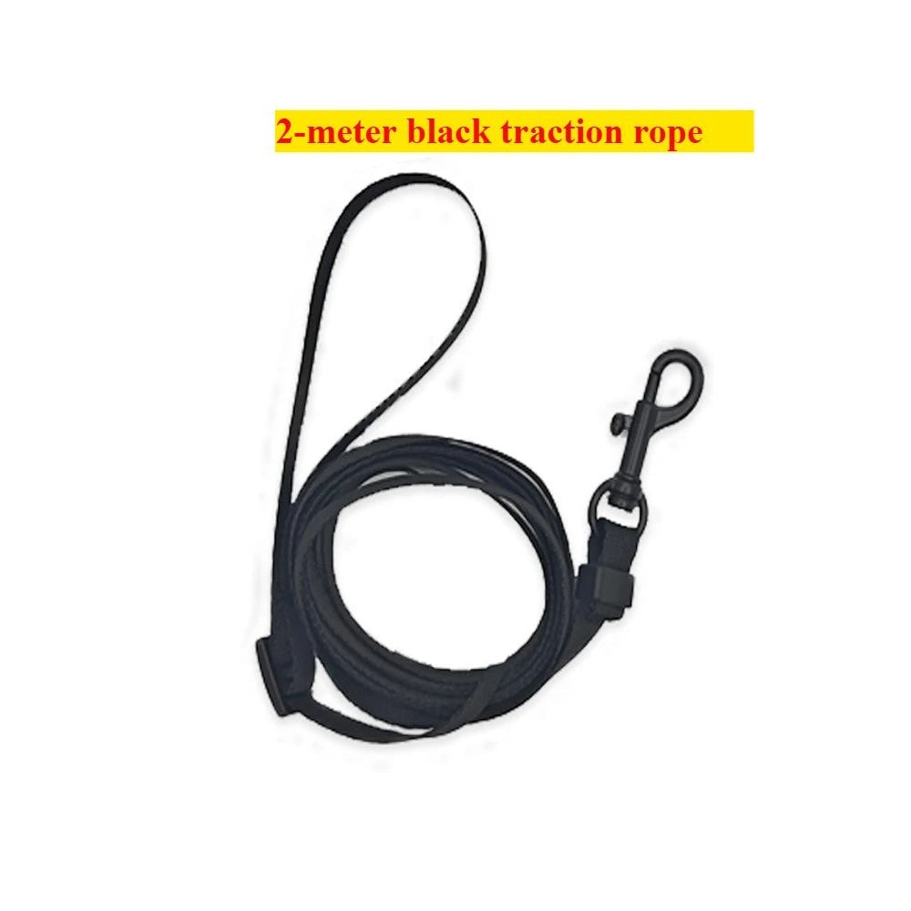 Mincy Pets Adjustable Reptile Harness & Leash Set product photo.