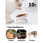 Cat Bowl Anti Vomitg, Raised Food Bowls, Tilted Elevated Bowl, Ceramic Pet Food Bowl for Flat Faced Cats, Small Dogs, Protect P